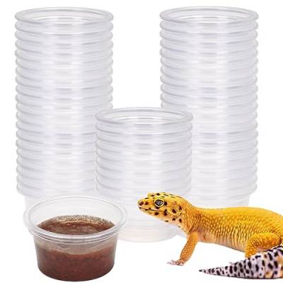 AIICIOO Gecko Feeder Ledge Cup Kunststoff Schalen Stark Magnetisch Reptilien Futterspender Wasserschale 50 Pack 1 oz von AIICIOO
