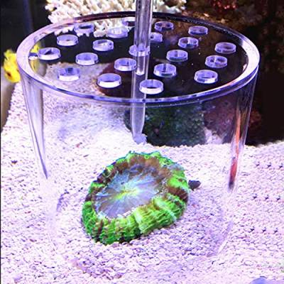Airshi Acryl-Aquarium-Korallen-Futterspender-Abdeckung, Korallen-Futterspender-Abdeckung, Transparentes Fish Store Haushaltsaquarium für Angelbecken (150mm) von Airshi
