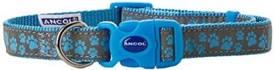 Ancol Fashion Nylon Verstellbares Halsband mit blauen Pfotenabdrücken, 30-50 cm, Sz2-5 von Ancol