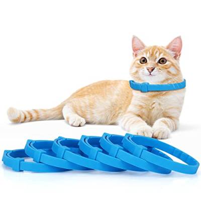 Anipaw Beruhigendes Halsband für Katzen, beruhigendes Halsband, entspannendes Katzen-Pheromon-Halsband, verstellbar, für kleine, mittelgroße und große Katzen, Pinkeln, lindert Angst und Stress (blau) von Anipaw