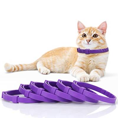 Anipaw Beruhigendes Halsband für Katzen, beruhigendes Halsband, entspannendes Katzen-Pheromon-Halsband, verstellbar, für kleine, mittelgroße und große Katzen, Pinkeln, lindert Angst und Stress (lila) von Anipaw
