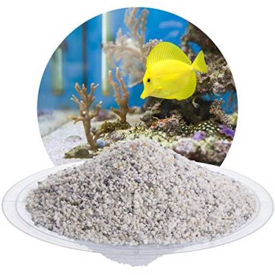 Schicker Mineral – 25 kg Aquariumkies Weiß – grober Aquariumsand gewaschen & ungefärbt – kantengerundeter Bodengrund Kies für Süßwasseraquarien & Meerwasseraquarien (Ø Körnung: 2,0-3,5 mm) von Aquagran