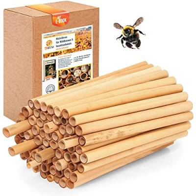 BEESI 200x Nisthülsen 14 cm lang für Insektenhotel aus Schilf I Durchmesser 4-7 mm inkl. E-Book I Für Bienenhotel Nisthilfe I Niströhren für Wildbienen (200x BEESI Schilf) von BEESI