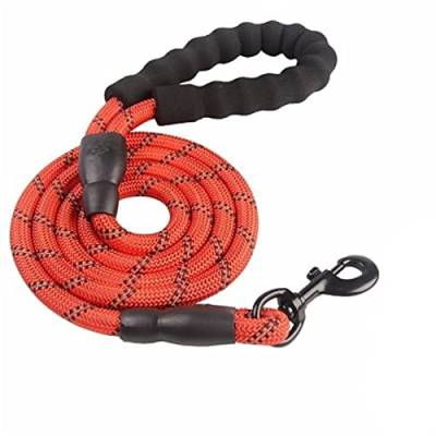Hundeleine 2 m/3 m/5 m große Hundeleine, rundes Nylon, 1,2 cm Durchmesser, reflektierendes Seil, gehender Hund Verstellbare Führleine (Color : Red, Size : 1.2cm x 200cm) von BUUNHI
