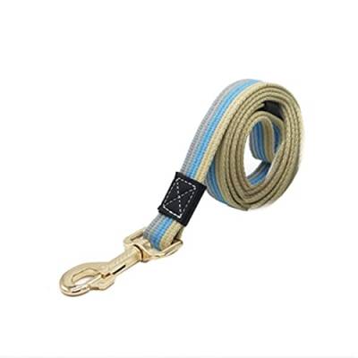 Hundeleine Verstellbares Hundehalsband und Leine-Set Hunde-Tracking-Leine Halsband Small Medium Large Verstellbare Führleine (Color : Blue Canvas Leash, Size : S) von BUUNHI