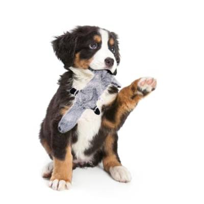 Beavorty 3st Plüschtiere Für Haustiere Spielzeug Hundebiss Kauen von Beavorty