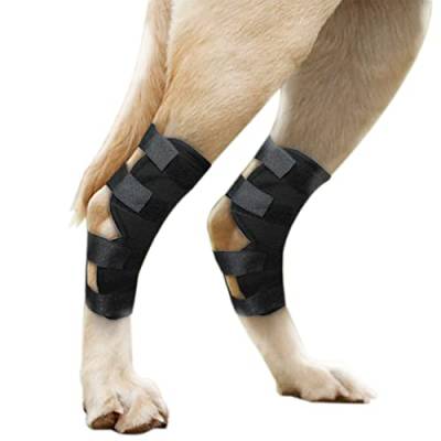 Hundebeinbandage für kleine oder kurze Beine, unterstützt Hunde, fördert die Heilung und verhindert Verletzungen und Verstauchungen, hilft bei Stabilität, verursacht durch Arthritis von CONSIO