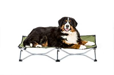 Carlson Pet Products Erhöhtes Hundebett Hundebett Indoor Outdoor Hundebett für Große Hunde Grün (8045) von Carlson Pet Products