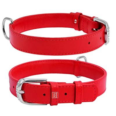 Coperani | Hundehalsband | Halsumfang: 21-29 cm | Breite: 2 cm | Leder | Rot | Langlebig | Robust | Hochwertig von Coperani LIEBLINGSSACHEN FÜR IHR TIER