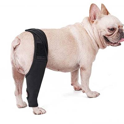 DONGKER Kniebandage für Hunde, Haustier-Ellenbogenschutz, Neopren Kniegelenkbandage mit Seitenstabilisatoren für mittelgroße/große Hunde, Vorder- und Hinterbeine, reduziert Schmerzen und Entzündungen von DONGKER