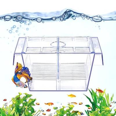 DaToo Fischzuchtbox Aquarium Haltetank Transparent Fisch Isolation Box Accliation Hatchery Inkubator Züchter Box für Babyfische Betta Garnelen Clownfisch Guppy von DaToo