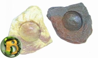 Dragon - Wasserschale - Futternapf - Felsschale Mini Mini Sand Stone ca. 10ml BTH 6x6x2 cm von Dragon
