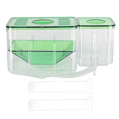 Fischzuchtboxen, Aquarium-Fischtanks-Zuchtbox, Little Plastic Fish Doppelschicht-Isolationsinkubator für verletzte kleine Fischgarnelen von EVTSCAN