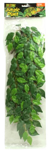 Exo Terra Fikus, hängende Regenwaldpflanze aus Seide, groß, Länge 62cm von Hagen