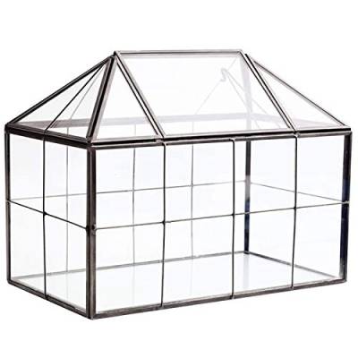 FRGMNT Terrarium aus Glas, handgefertigt, aus Glasbehälter, geometrisch, mit Drehdeckel, für den Innenbereich, für Sukkulenten von FRGMNT
