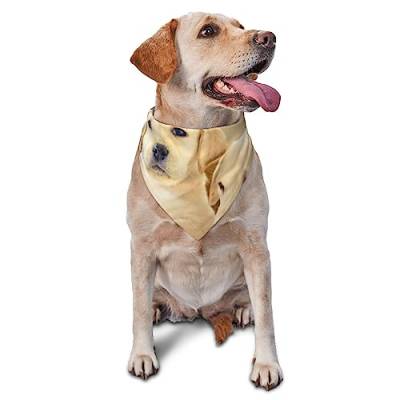 Niedliches Hunde-Halstuch, niedlich, weich, waschbar, für den Sommer, verstellbar, Katzen-Halstuch, Lätzchen, Haustier, dreieckiges Taschentuch von FURLOU