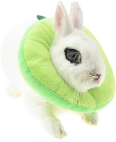 FoOhy abbit Schutzkegel für nach Operationen, Elizabeth Halskrause für kleine Tiere, Bunny Toast Avocado Kostüm, klein, 1 Stück (grün) von FoOhy