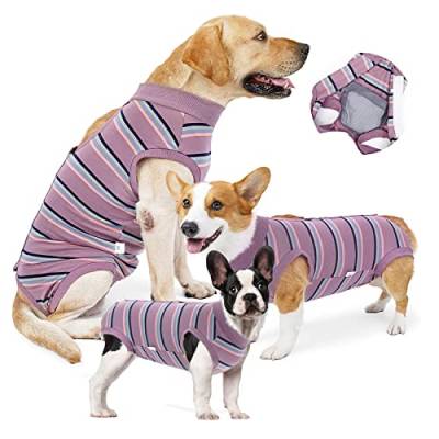 Genesungsanzug für Hunde, Hundeoperations-Erholungsanzug, Lila Streifen, Chirurgischer Einteiler für Hunde E-Kragen Alternativer Hundepyjama Haustier Anti-Leck für Mittelgroße, Große Welpen (XL) von Jodsen