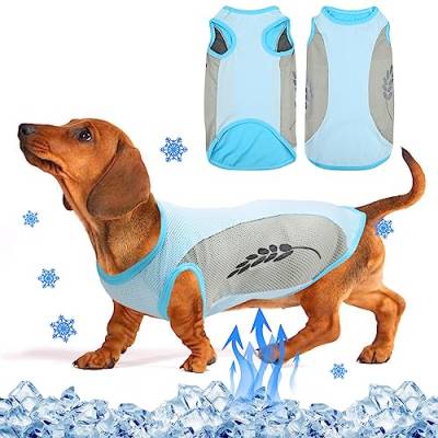 Jodsen Hundekühlweste,Sommer Cool und Bequem Hundemantel Atmungsaktiv Mesh Hundejacke mit Reflektorstreifen,Leichte Hunde-EIS-Kühlung T-Shirts für kleine bis mittelgroße Hunde (3XL, Blau) von Jodsen
