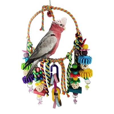 Jomewory 5 Stück Schaukel für Vögel, Spielzeug zum Aufhängen für Papageien und Vögel, Hängematte, Klettermatte, mit buntem Kauspielzeug für Turteltauben, Finken von Jomewory