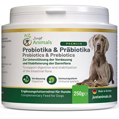 Probiotika & Präbiotika für Hunde zur Darmsanierung | Unterstützt den Aufbau der Darmflora & das Immunsystem | Fördert die Verdauung | Mit Bakterienkulturen | 250g Pulver inkl. Dosierlöffel… von Just Animals