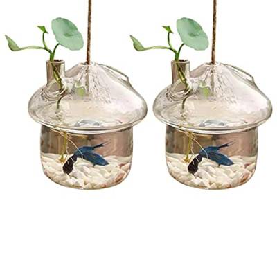 KVSERT 2 x Pilzförmige hängende Glasvase, Rumble, Aquarium, Behälter, Heim- und Gartendekoration von KVSERT