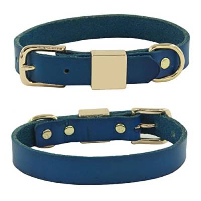 1 Pc Hundehalsband Für Kleine Hunde Leder Weiches Haustier Glatte Oberfläche Retro Farbe Einfache Hundeketten-Blau,M von LRZIN