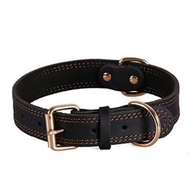 1 Pc Leather Dog Collars Pet Dog Tag Collar Leash Lead for Small Medium Large Dogs-Black,XS von LRZIN
