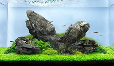 LANDEN Seiryu Steine Natursteine (7,7 kg, 7-27,9 cm, 7–8 Stück) für Aquarium, Paludarium, Terrarien, Landschaftsbau, Aquascaping von Landen