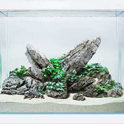 LANDEN Seiryu Stones Natursteine für Aquarium, Paludarium, Terrarien, Landschaftsbausteine, Aquascaping, 70 l (16,3 kg) 7,6–27,9 cm von Landen