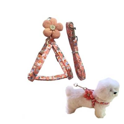 Leadigol Breakaway Hunde- und Katzenhalsband, Geschirr, Baumwolle, sicher, mit Blume und Strasssteinen, für weibliche Katzen, Kätzchen, Welpen, kleine Haustiere von Leadigol
