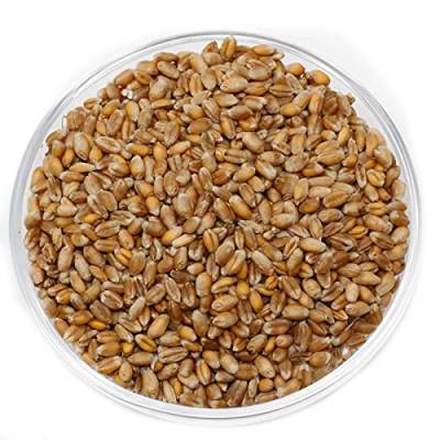 Leimüller Weizen gereinigt 25 kg | Natürlicher Weizen aus Österreich | Hervorragende Energiequelle | AMA-Gütesiegel & garantiert gentechnikfrei von Leimüller