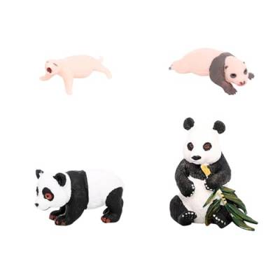 Luwecf 4X Panda Tier Lebenszyklus Modell Kognitiven Spielzeug Pädagogisches Spielzeug Liefert Party Klassenzimmer Zubehör für Kinder Mädchen Jungen, Panda-Wachstumszyklus 1 von Luwecf