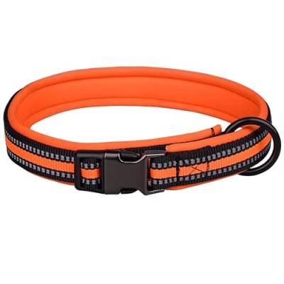 Reflektierendes Nylon-Hundehalsband mit Sicherheitsschnalle, verstellbare Haustierhalsbänder mit weicher Neoprenpolsterung für kleine, mittelgroße und große Hunde (XS-Fit Halsumfang 25-32 cm, Orange) von N\A