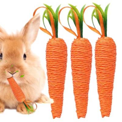 NUDGE Karotten-Hundespielzeug | Kauspielzeug für Welpen, Hundespielzeug, Kaninchenspielzeug, Hasen-Kauspielzeug, Hasen-Kauspielzeug, Kauspielzeug für Hasen und Haustiere von NUDGE