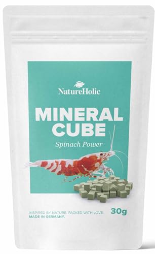 NatureHolic - MineralCube Spinat Power I zur Mineralstoffversorgung I mit wertvollem Spinat I Keine Wasserbelastung I ideales Ferienfutter I 47ml von NatureHolic