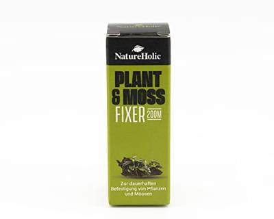 NatureHolic - Moss & Plant Fixer I ideal für Wurzeln und Steine I dunkelgrün und unauffällig I für Moos und Aufsitzerpflanzen I zersetzt Sich Nicht I ​200m von NatureHolic