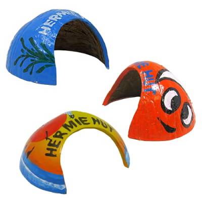 Needzo Hermie Hut handbemaltes Kokosnussversteck für Einsiedlerkrebse, DIY Terrarium Zubehör Hütten und Verstecke für Krabben und Reptilien, 3 Stück von Needzo