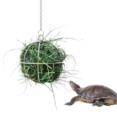 7,9 cm Schildkröte Leckerli Ball Spielzeug, hängende Schildkröte Edelstahl Heu Feeder Ball, Kleintier Gras Obst Gemüse Feeder Halter, geeignet für Schildkröte Schildkröte Meerschweinchen Hamster Ratte von Neeenn
