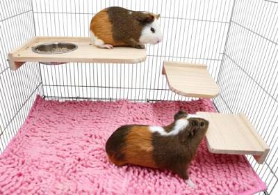 Chinchilla-Plattform-Set, 3-teiliges Hamsterkäfig-Plattform aus Holz mit Futternapf, Sitzstange für kleine Tiere, Käfigzubehör für Hamster, Ratten, Chinchilla, Eichhörnchen, Rennmäuse, Vögel, von Neeenn
