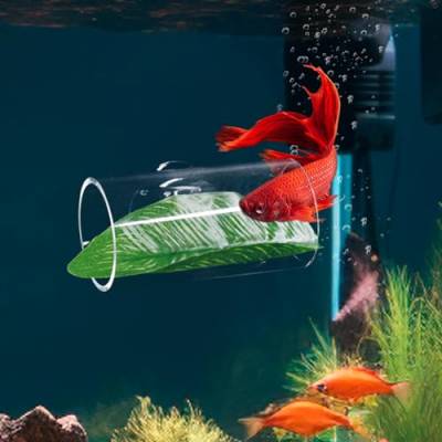 Neeenn Transparente Acryl-Kampffisch-Tunnel-Spielzeug, Betta-Fischversteck, Betta-Aquarium-Dekorationen von Neeenn