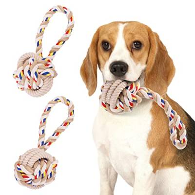 Nobleza 2X Hundespielzeug unzerstörbares, 100% natürliche Baumwolle Seil Hundespielzeug - interaktives Tauziehspielzeug für Welpen - Dog Rope Toy - welpenspielzeug - Hundekauspielzeug - 20 cm von Nobleza