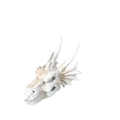 Oshhni Aquarium Dinosaurier Schädel Kopf Ornament Handwerk Schädel Modell Aquarium Dekor für Desktop, klein von Oshhni