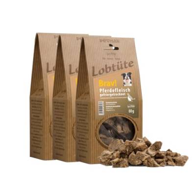 PETMAN Lobtüte BRAV! Pferdefleisch 3x80g – Hundefutter Snack - Proteinreiches Einzelfuttermittel für Hunde und Katzen, Barf-geeignet - Made in Germany von PETMAN