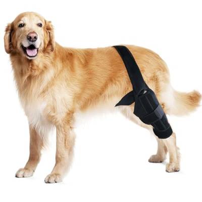 PJDDP Hundebein, Hundebeinklammer Für Hüftdysplasie Hinterbeinstütze Mit Kreuzbandverletzung, Gelenkschmerzen Und Muskelschmerzen Verstellbarer Heckunterstützung,M von PJDDP