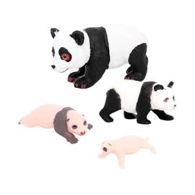 Perfeclan 4 Stück Panda Tier Lebenszyklus Modell, Klassenzimmer Requisiten, Lernspielzeug, Panda Wachstumszyklus Figuren, Panda-Wachstumszyklus 3 von Perfeclan