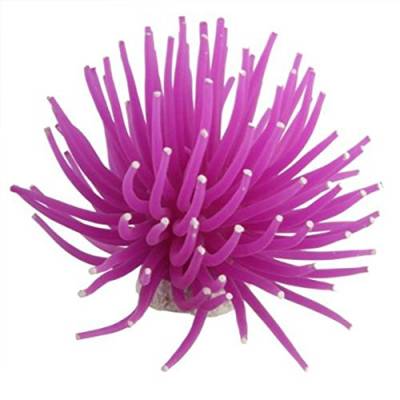 Pmandgk Künstliche Koralle für Aquarien, Violett von Pmandgk