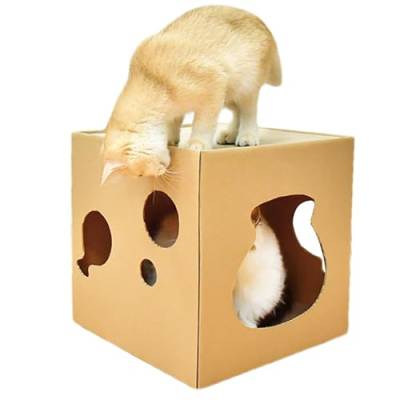 Katzenhaus aus Pappe, Katzenkratzbox - Wellpappe Kratzbox Katzenkratzspielzeug,Haustierversteck, Faltbarer Katzennistkasten für Katzen, Kätzchen, Kleintiere von Pzuryhg