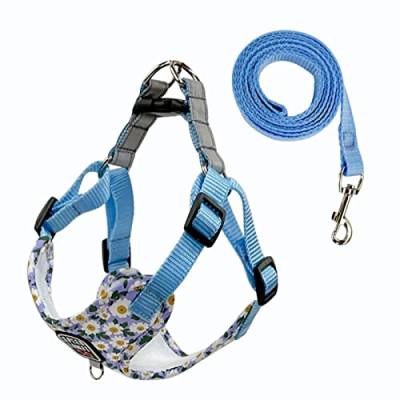 Pet Dog Harness Nylon Pull-Free Reflektierender Hundebrustgurt Atmungsaktives Verstellbares Haustierhalsband for Kleine Hunde Und Katzen (Color : Blue, Size : S) von REYNEM