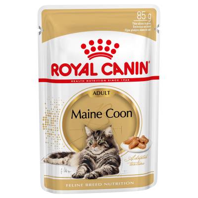 Royal Canin Maine Coon Adult in Soße - Sparpaket: 24 x 85 g von Royal Canin Breed